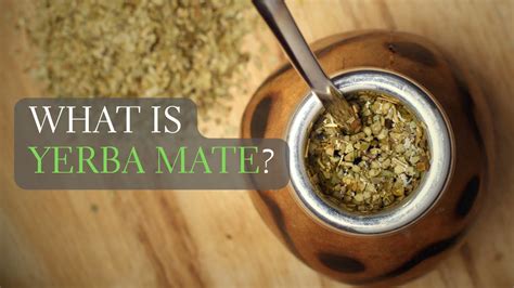 yerba mate walgreens|More.